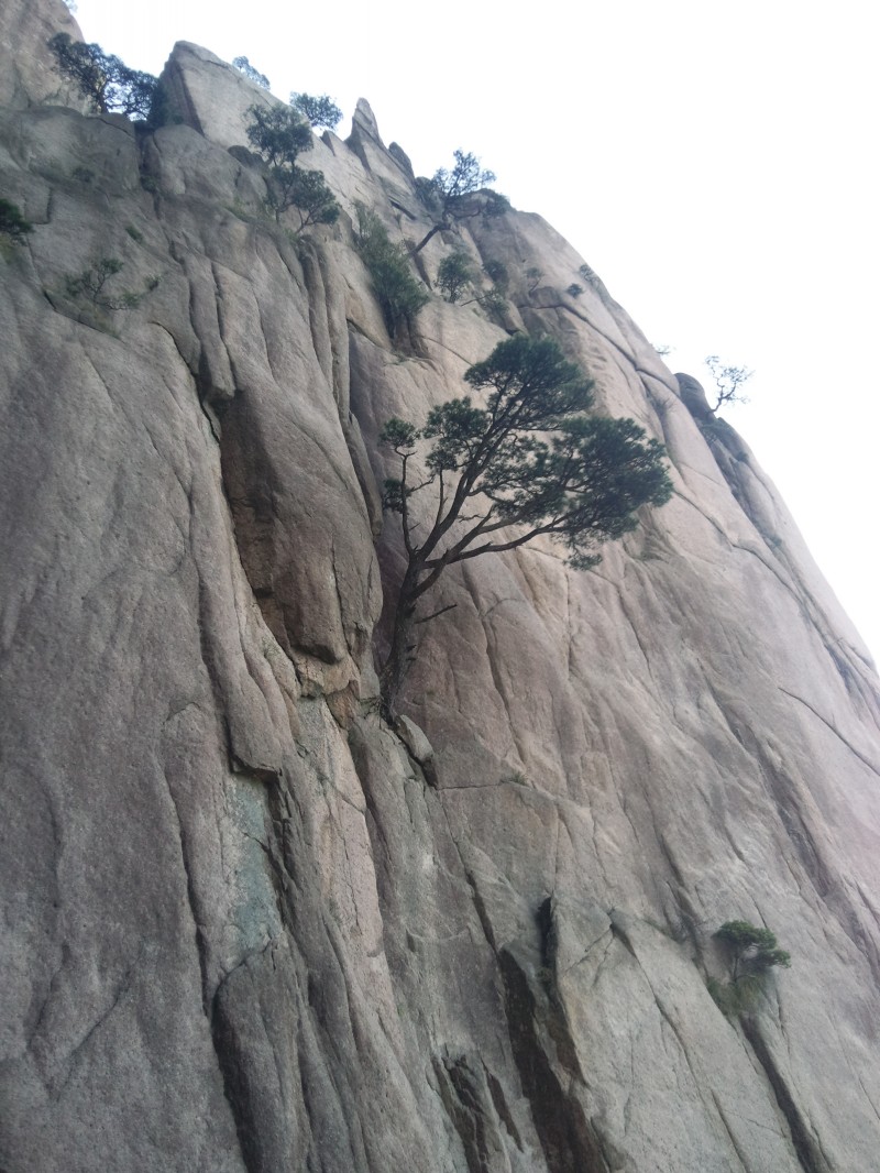 conew_照片120.jpg