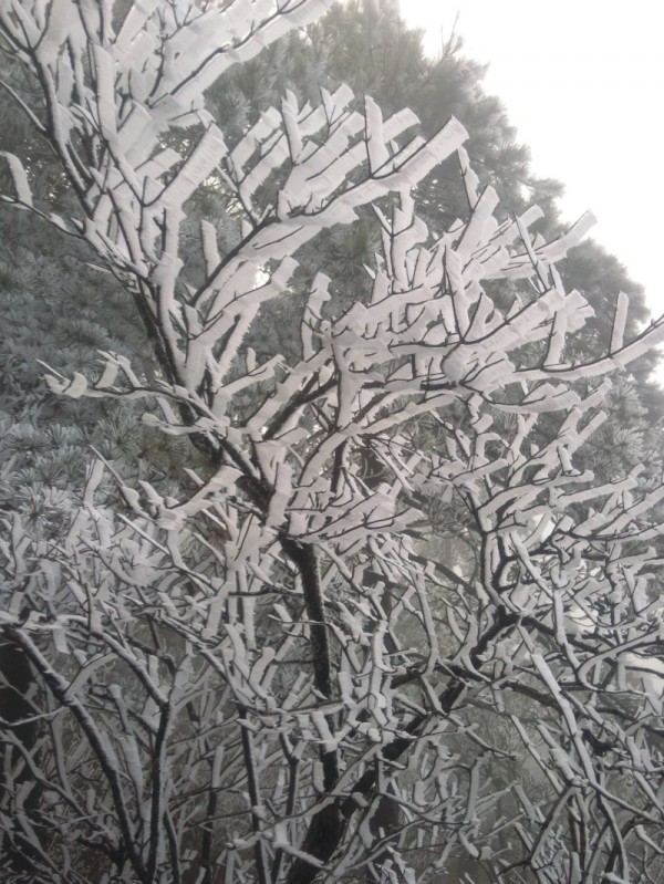 conew_conew_照片057.jpg