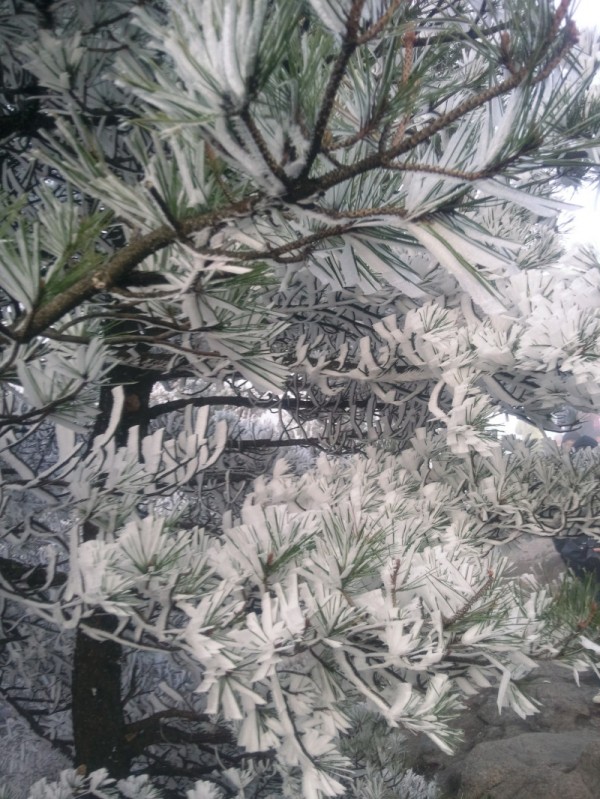 conew_conew_照片056.jpg