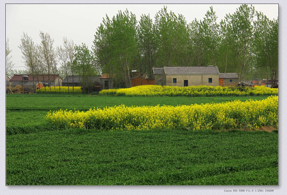 IMG_0740_副本.jpg