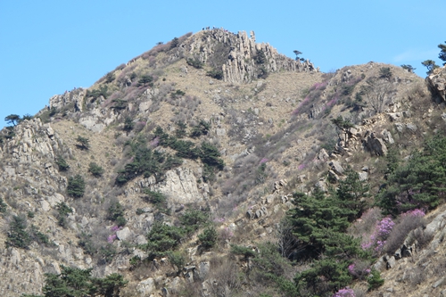 IMG_2733.JPG