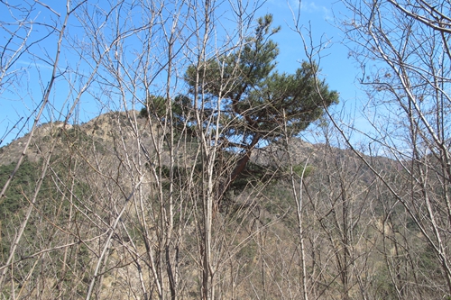 IMG_2737.JPG