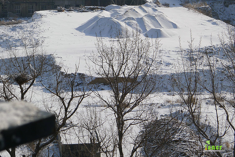 P1000544.jpg