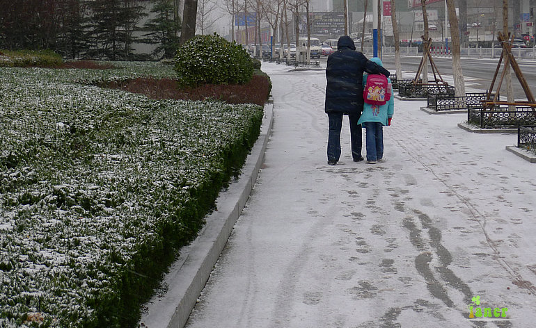P1000417.jpg