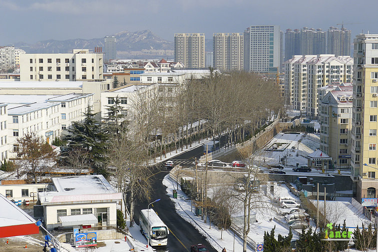 P1000552.jpg