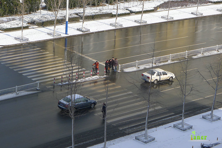 P1000553.jpg