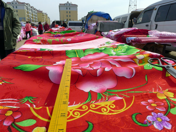 P1000730.JPG