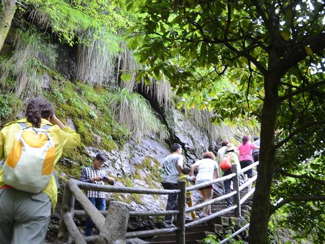 PhotoCap_077.jpg
