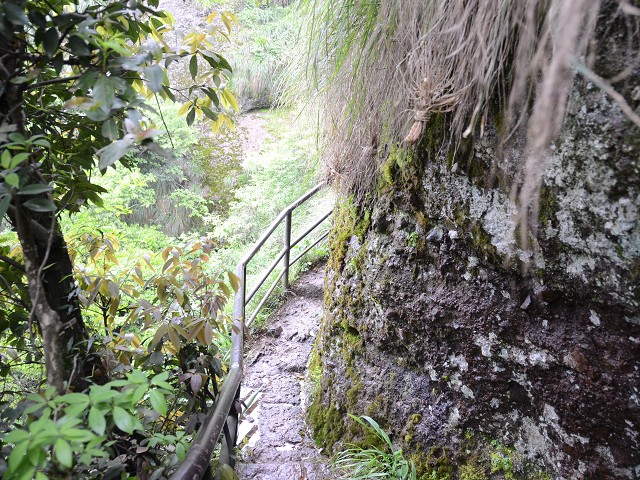 PhotoCap_164.jpg