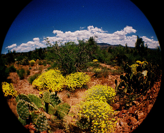 3. 事前掌握路况.jpg