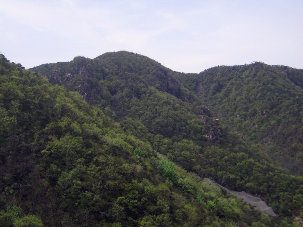 IMG_2117_副本.jpg