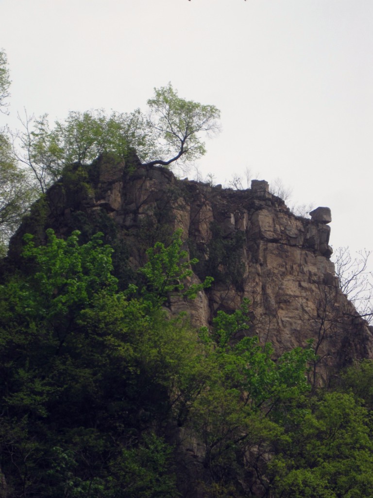 IMG_2139_副本.jpg