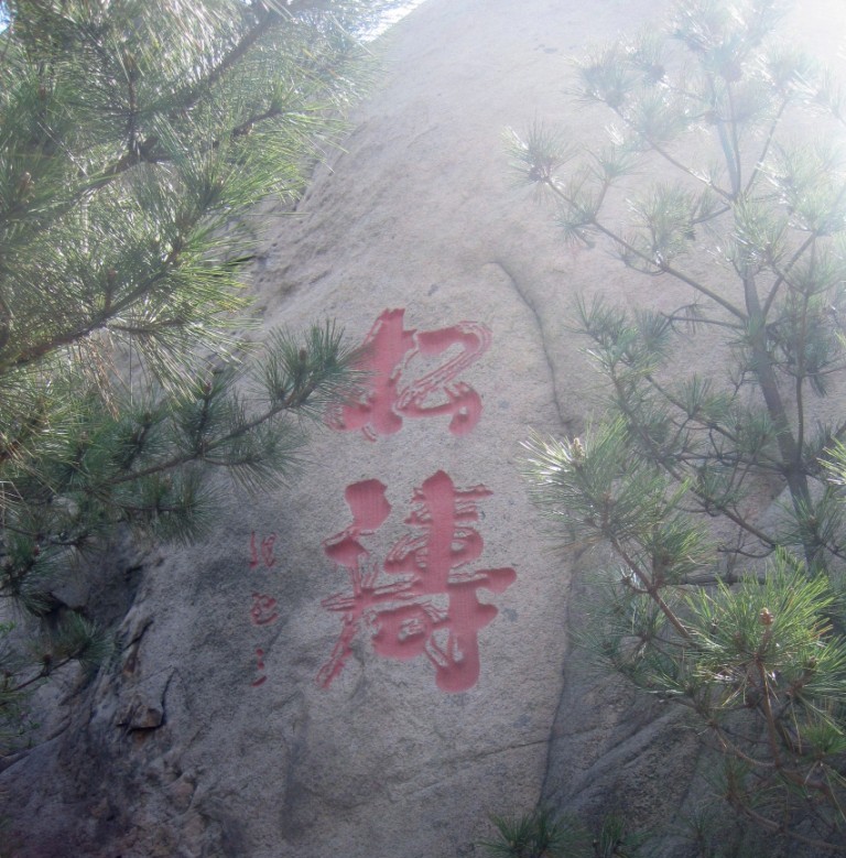 IMG_2229_副本.jpg