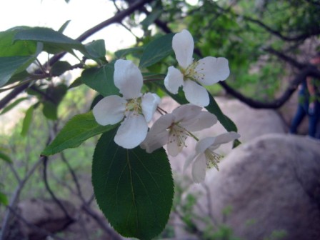 IMG_2204_副本.jpg