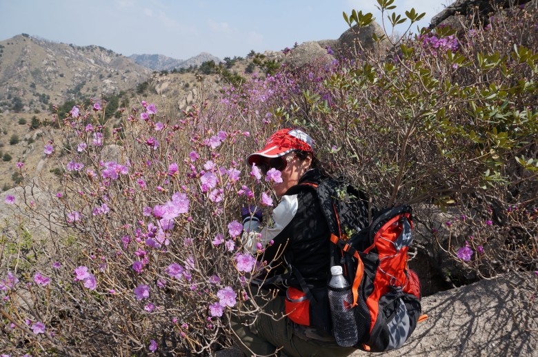 dsc01413_conew1.jpg