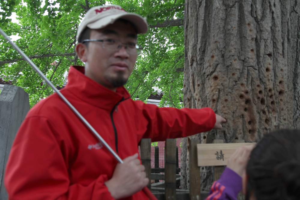 嵩山，白马寺 054.jpg