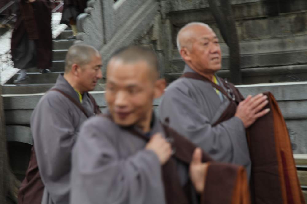 嵩山，白马寺 113.jpg