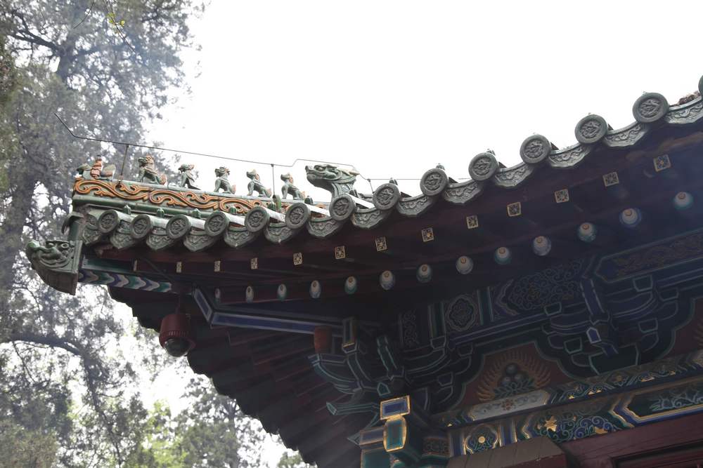 嵩山，白马寺 129.jpg