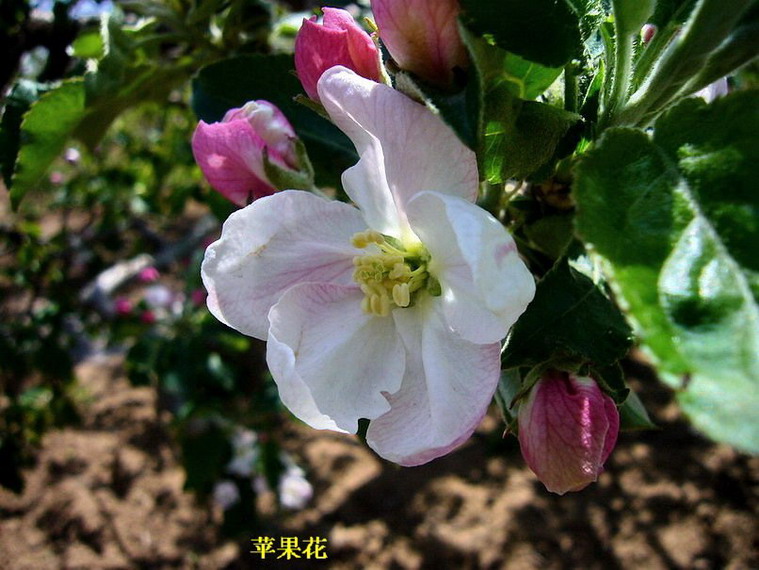P1220975_缩小大小_.jpg