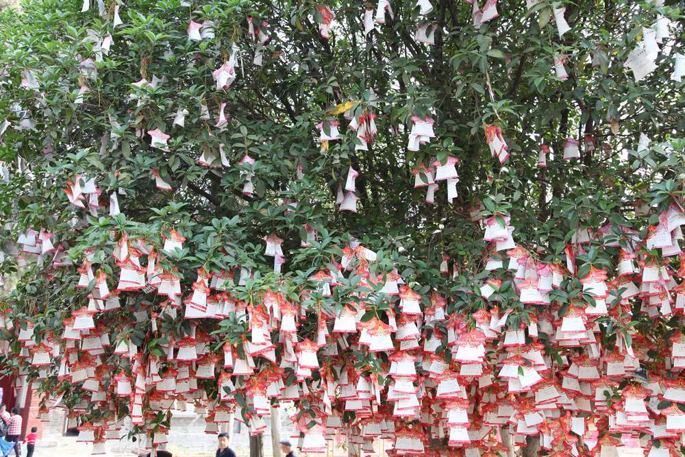 嵩山，白马寺 292.jpg