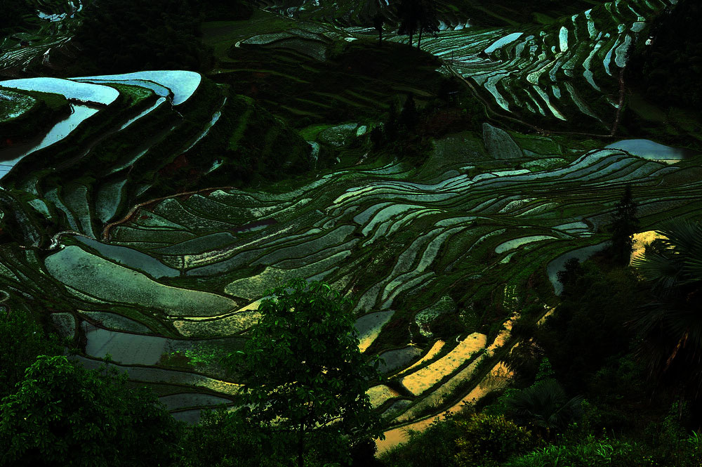 云和梯田 (16)a.jpg