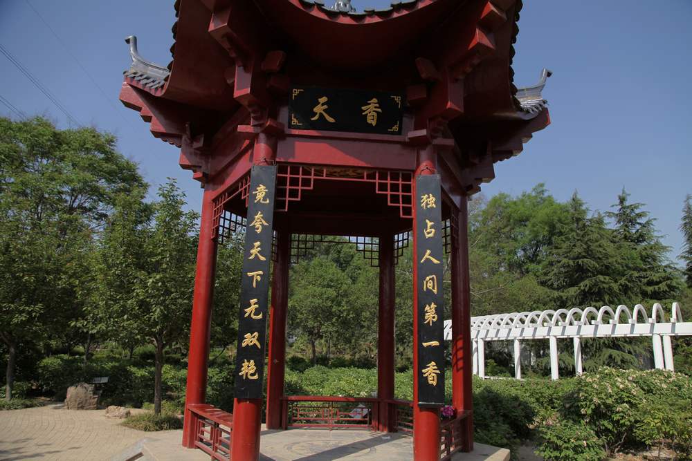 嵩山，白马寺 443.jpg