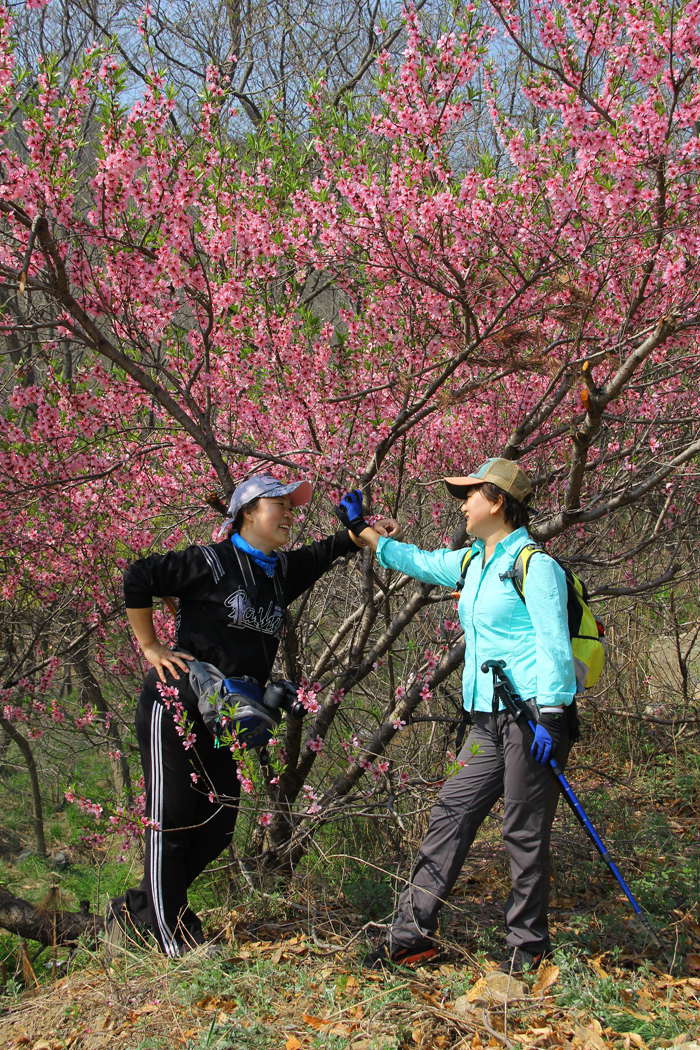 IMG_0032_副本.jpg