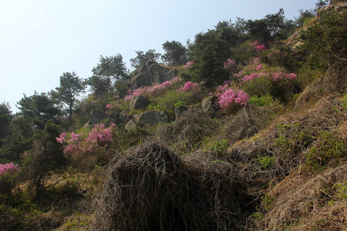 IMG_0068_副本.jpg