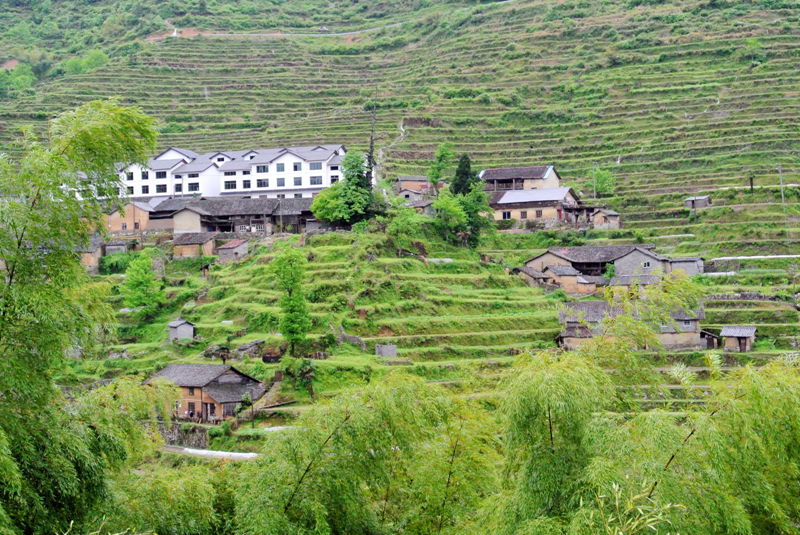 DSC_3506_副本_副本.jpg