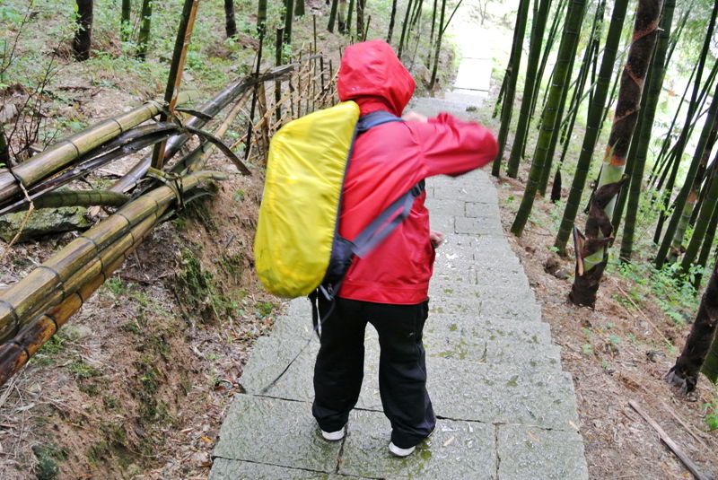 DSC_3519_副本_副本.jpg