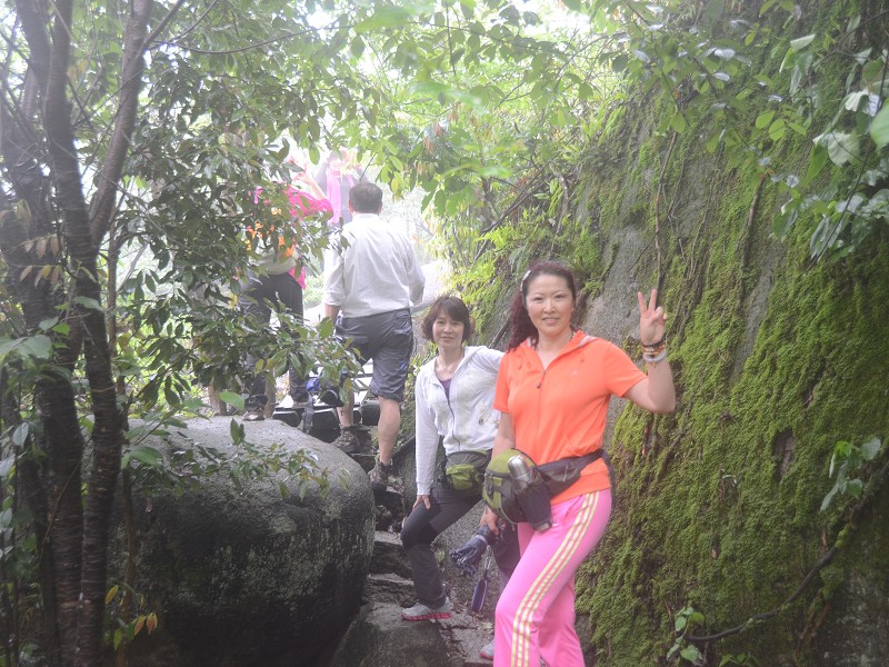 PhotoCap_122.jpg