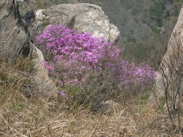 JXFQ0TRJ[T(IFXGRQ])EA.jpg