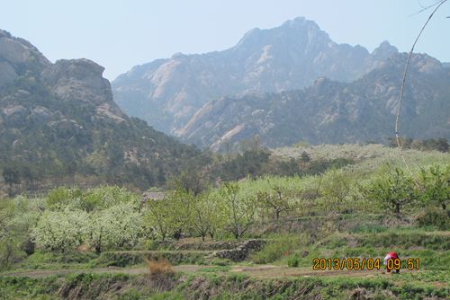 IMG_2794.jpg