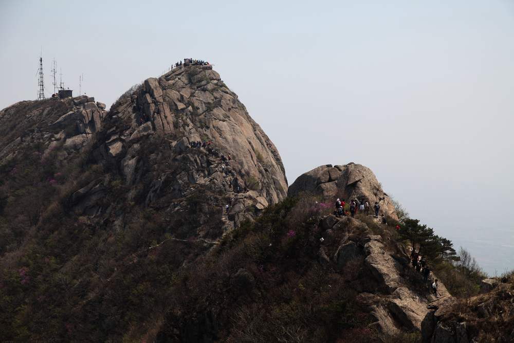 牡丹，牙山 093.jpg