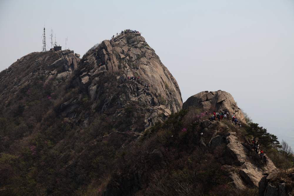 牡丹，牙山 092.jpg