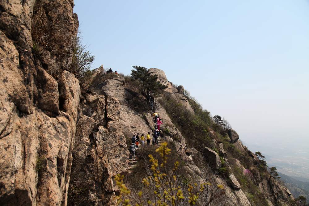 牡丹，牙山 100.jpg