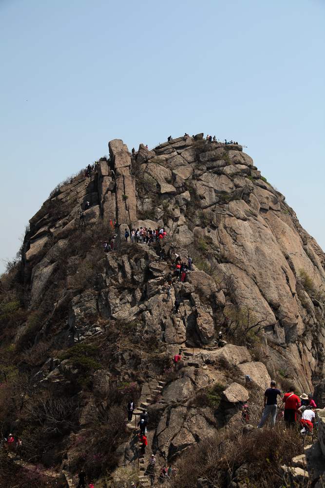 牡丹，牙山 114.jpg