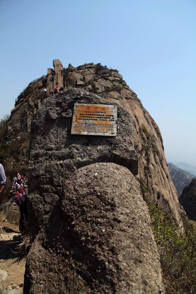 牡丹，牙山 120.jpg