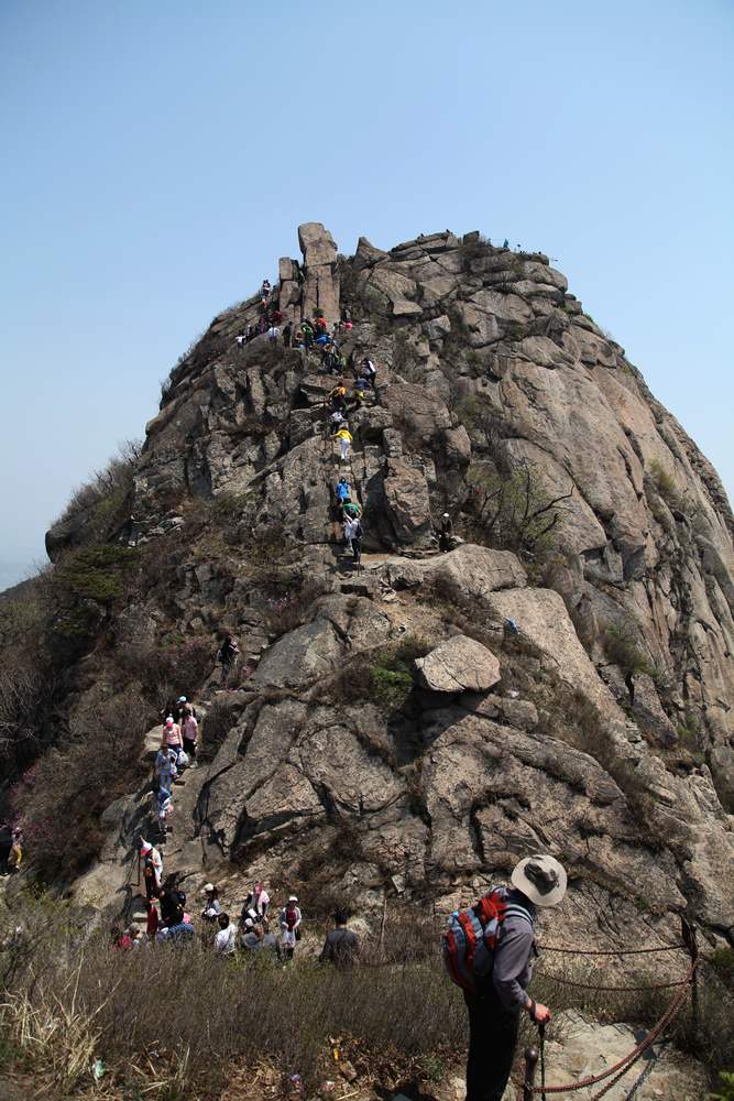 牡丹，牙山 121.jpg