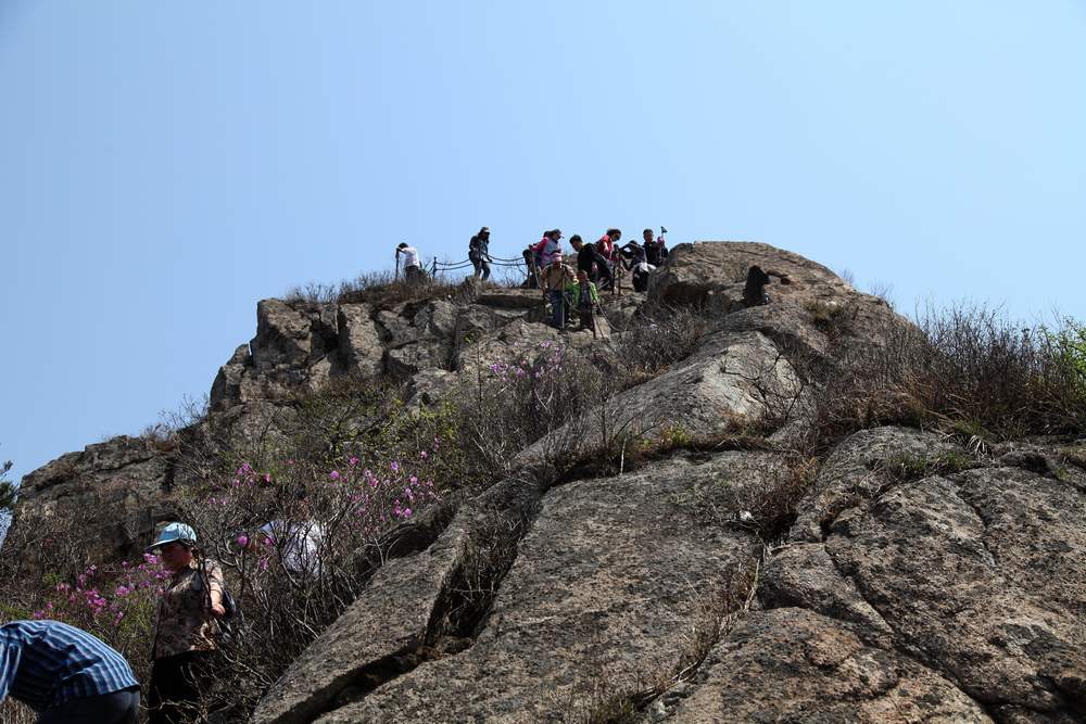 牡丹，牙山 125.jpg
