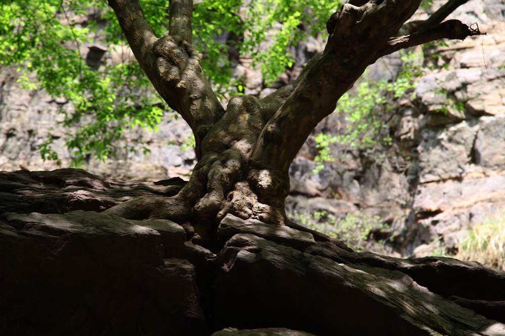 嵩山，白马寺 672.jpg