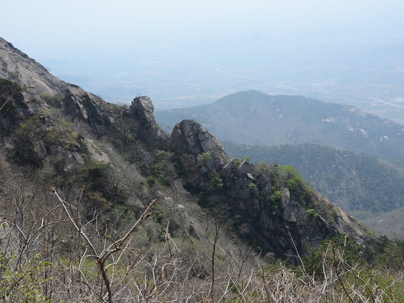 PhotoCap_014.jpg