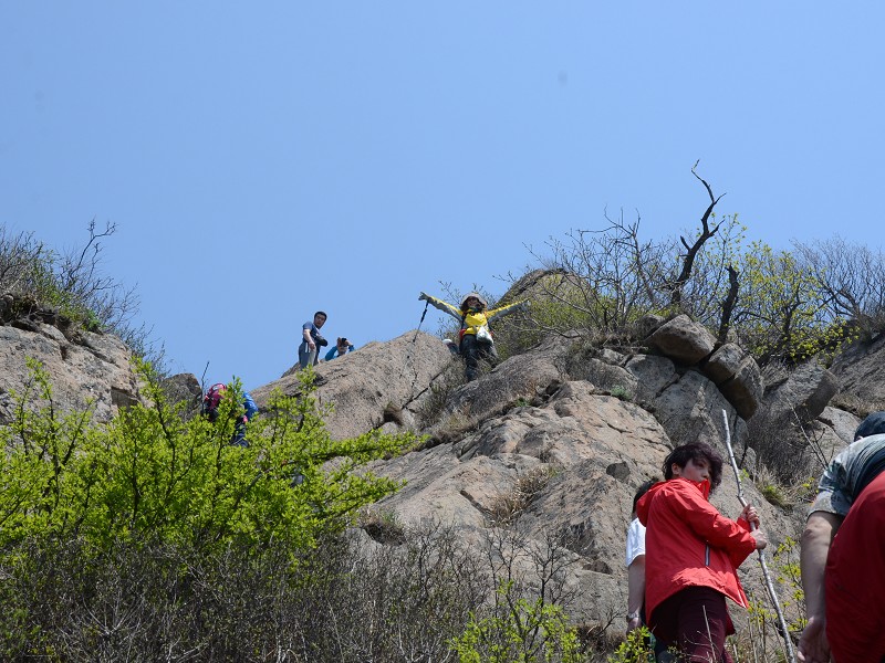 PhotoCap_029.jpg