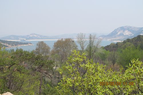 IMG_2825.JPG