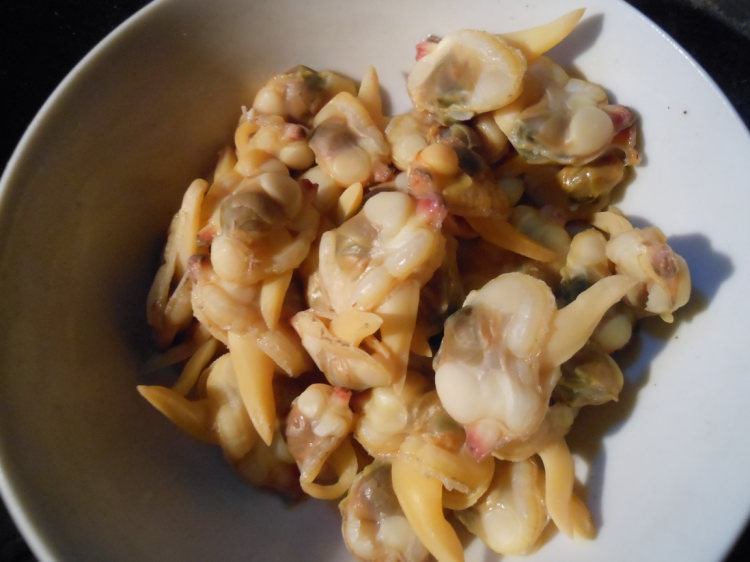 照片 706.jpg