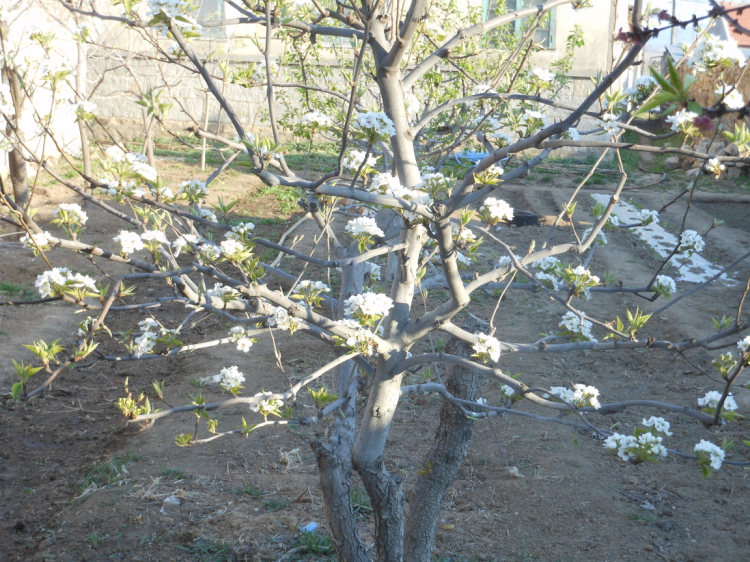 照片 759.jpg
