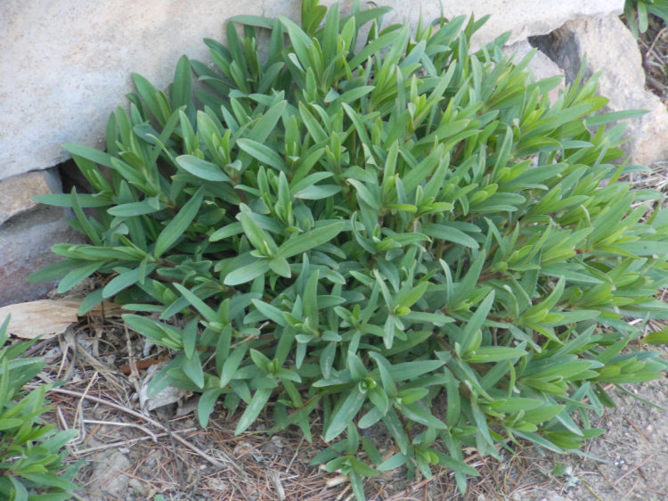 照片 790.jpg