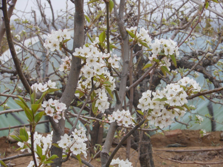 照片 816.jpg