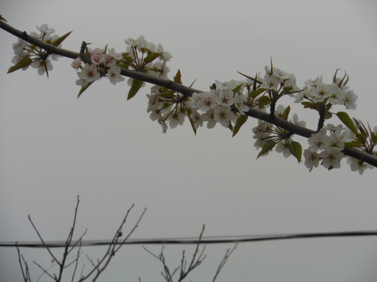 照片 817.jpg