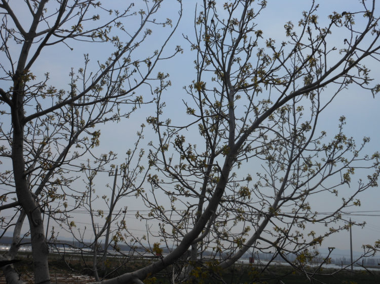 照片 981.jpg